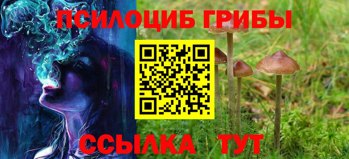 Галлюциногенные грибы Magic Shrooms Елабуга