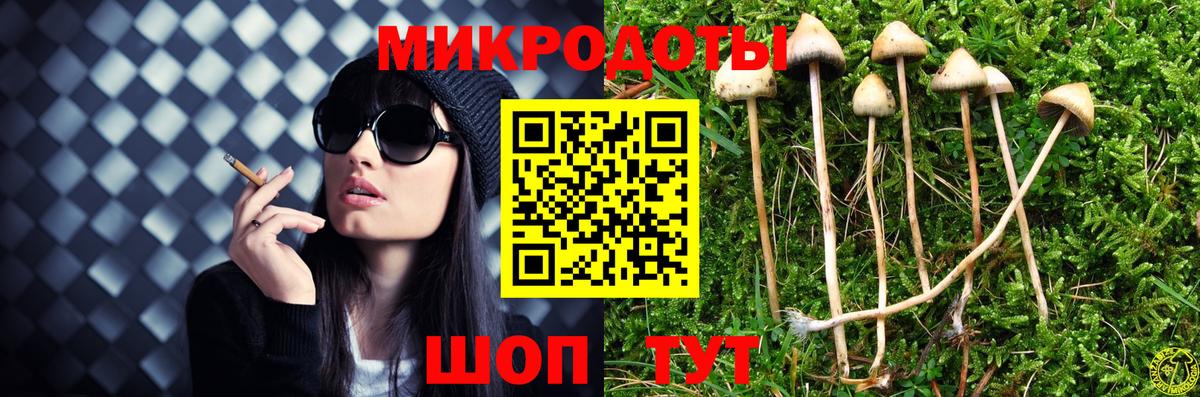 Псилоцибиновые грибы GOLDEN TEACHER  Галлюциногенные грибы MAGIC MUSHROOMS  Елабуга  Вход с VPN 